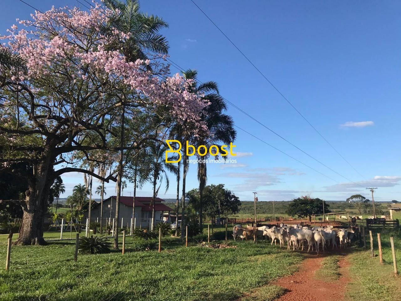 Fazenda com 5 dormitórios à venda, 943800 m² por R$ 9.000.000,00 - Morada da Colina - Uberlândia/MG