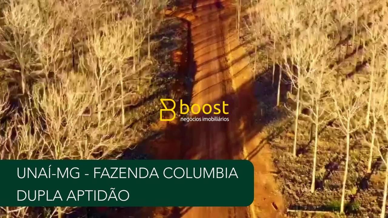Rancho à venda por R$ 16.000.000,00 - Unai - Unaí/MG